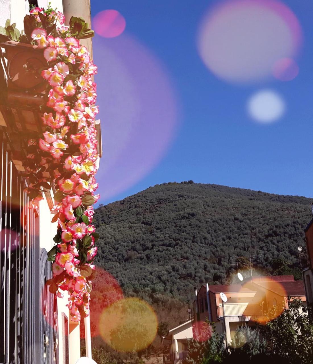 B&B La Perla Dei Casali Giffoni Sei Casali 外观 照片